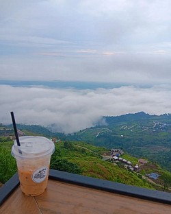 ไปไหน ไปไหน โทร